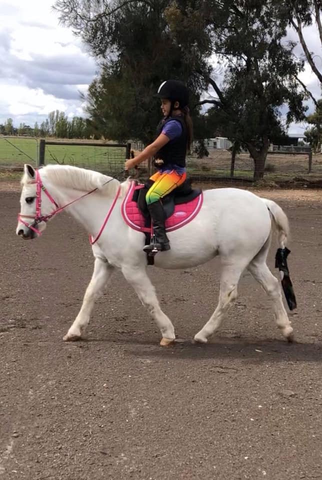 Horse Unicorn Pony Stallion Galaxy Celestial Universe Youth Teen Girls  Leggings Beginners Horseback Riding Athletic Pants -  Canada